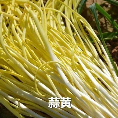 餐桌上的“天然杀菌菜”，5块钱一大把！杀菌、降脂、防感冒，常吃增强抵抗力！