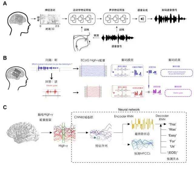 科学角度来说，人类如何才能实现与动物无障碍的双向交流？