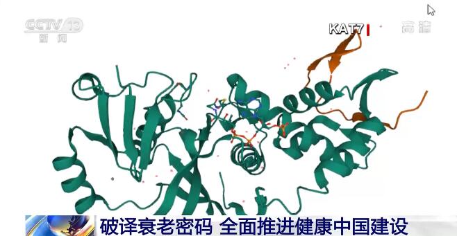 中国科学家传捷报！成功破译部分“衰老密码”，欧美：不可思议