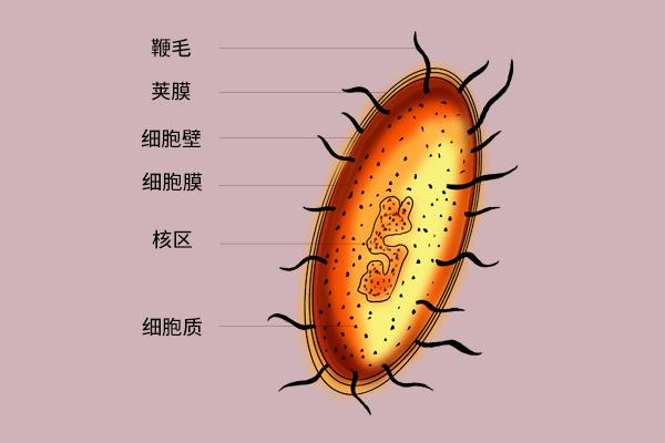 为啥红霉素软膏，越用效果越差？红霉素3个“冷知识”，建议了解