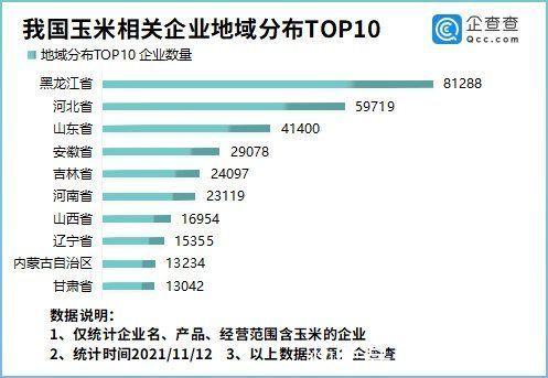 玉米价格扑朔迷离！企查查数据：我国现存玉米企业超40万家，黑龙江最多