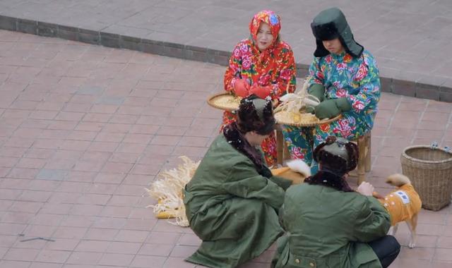 五哈曝预告片，与《向往的生活》神仙联动，关系户彭彭挤走了他