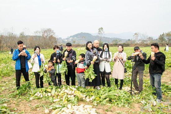 罗田县林家咀村：小萝卜撬动致富大产业