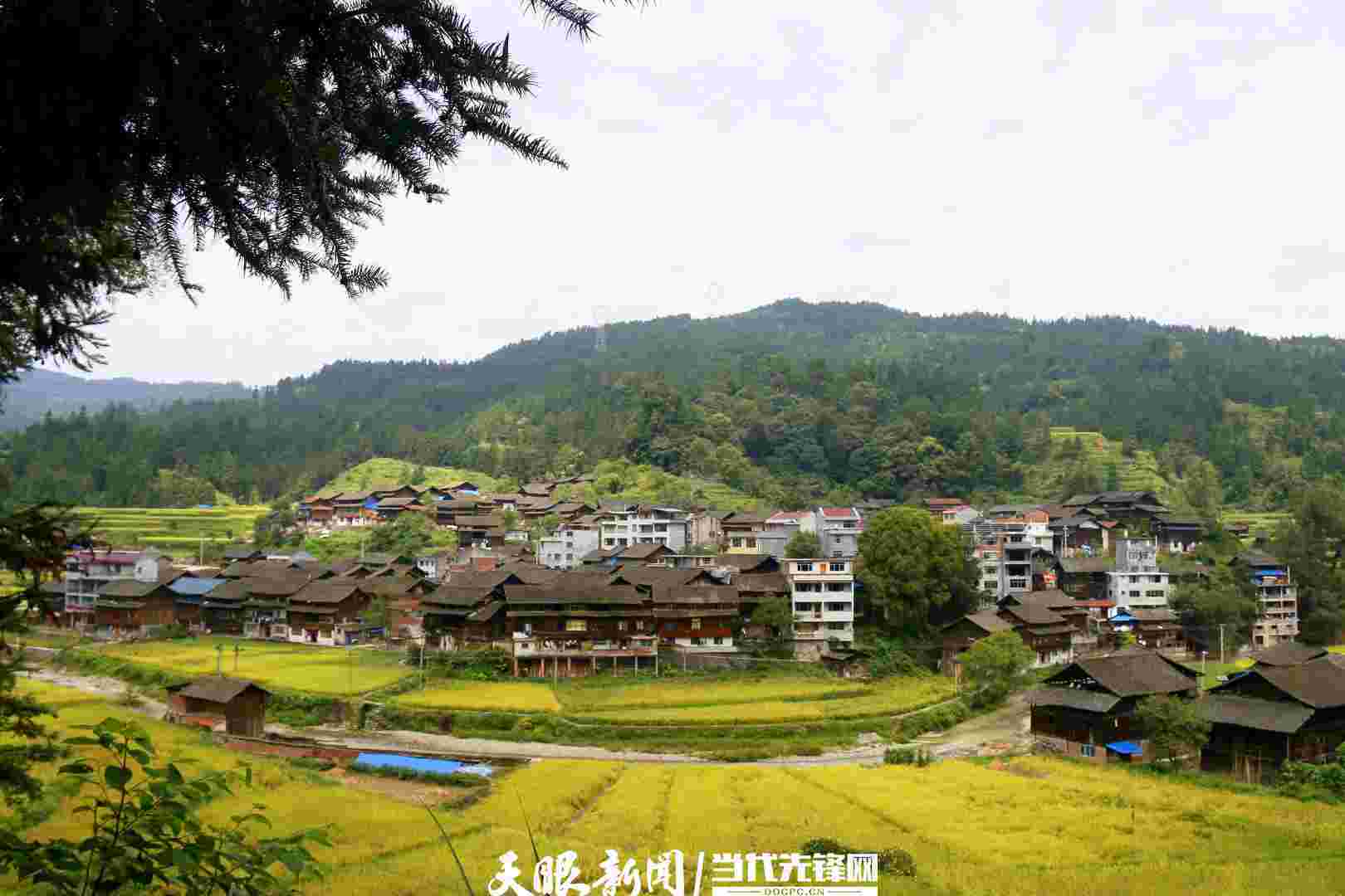 锦屏者蒙村：打造红色美丽村庄 走乡村振兴蝶变之路