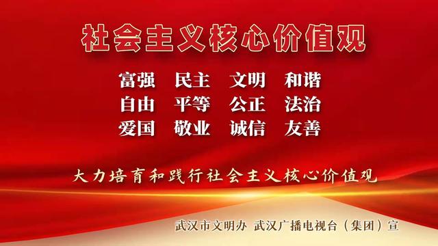 国内领先！武汉研发的智慧交通支付一体化系统平台首秀电博会