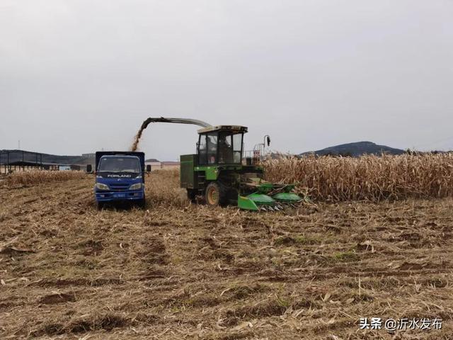 喜讯！黄山铺镇农民专业合作社入选农业农村部典型案例！