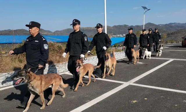 黄正勇：一警一犬，28年的坚守