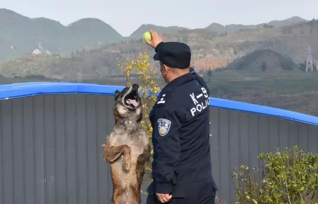 黄正勇：一警一犬，28年的坚守