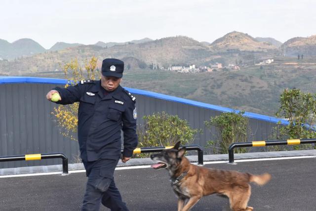 黄正勇：一警一犬，28年的坚守