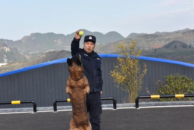 黄正勇：一警一犬，28年的坚守