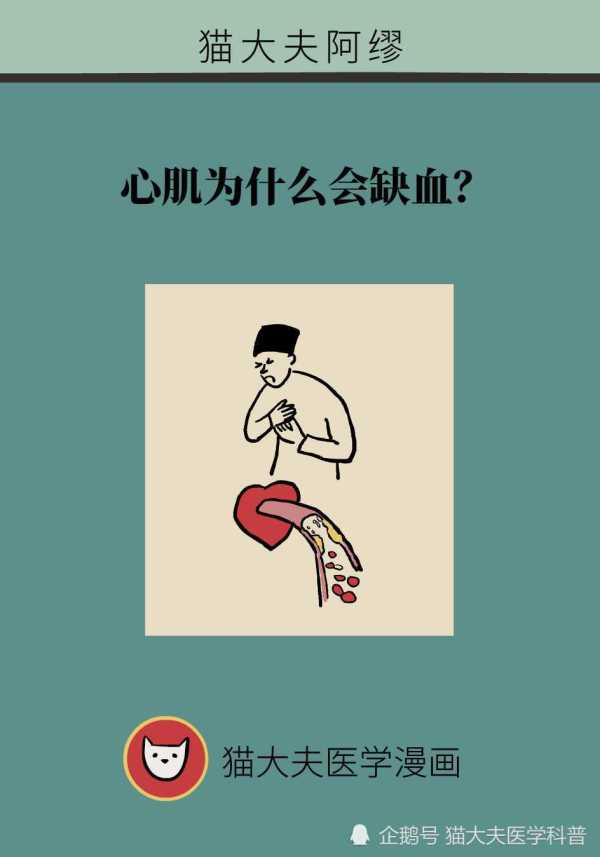 心肌为什么会缺血？