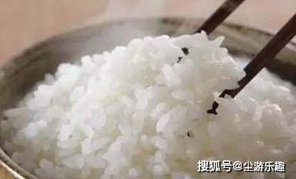 米饭和面食哪个更营养？可能跟你想的不一样，下次别吃错！