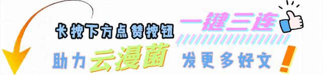 七宝琉璃宗如何长盛不衰？守护者接二连三出现，果然专业就是最强