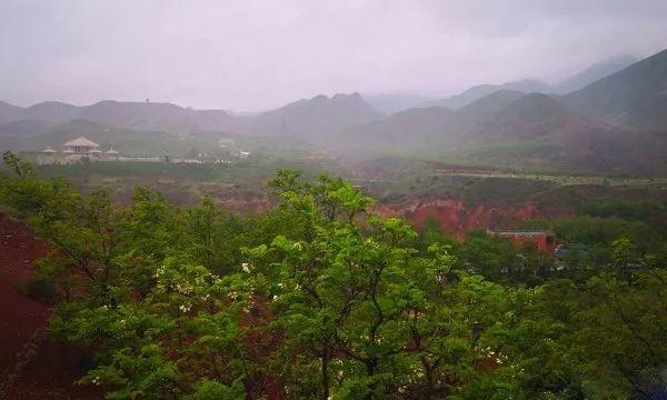 再看《山海情》，感叹西海固翻天覆地大变化