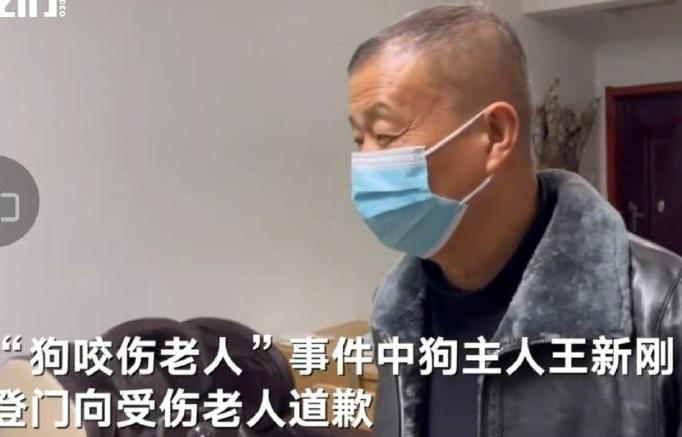 晓蕾说丨安阳“狗咬人”事件：如果王新刚的狗会说话