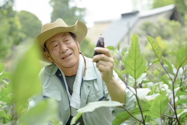 得了糖尿病，学会这5点，不怕血糖高