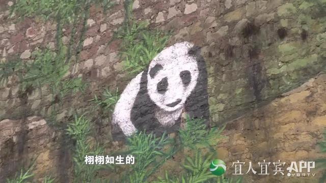 打卡去！成都春熙路的“爬墙熊猫”来宜宾了！