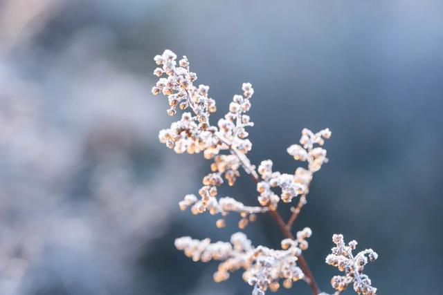 今日小雪：厚积薄发！大约在冬季