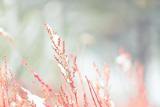 今日小雪：厚积薄发！大约在冬季