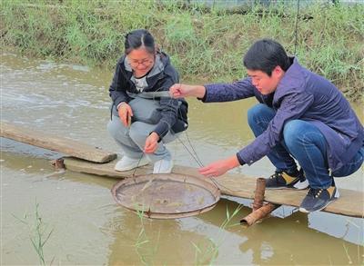 团泊镇佳丰水产：温室养虾蹚出产业发展新路子