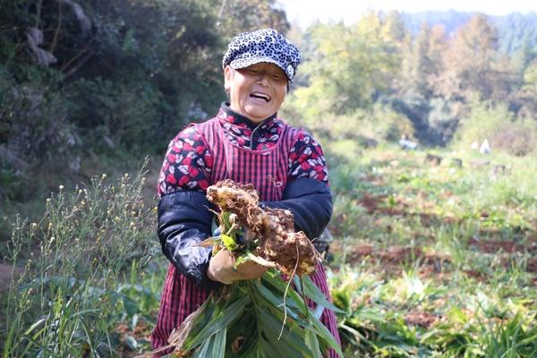 贵州玉屏：以产业兴旺助推乡村振兴