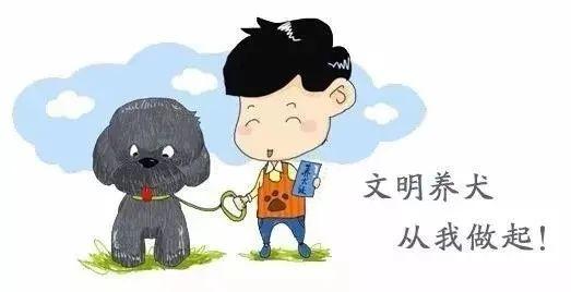 【创文进行时】向这些行为说“不”：静海区治理不文明养犬典型案例（一）