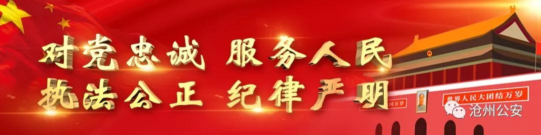 不文明养犬，沧州市37人被罚！