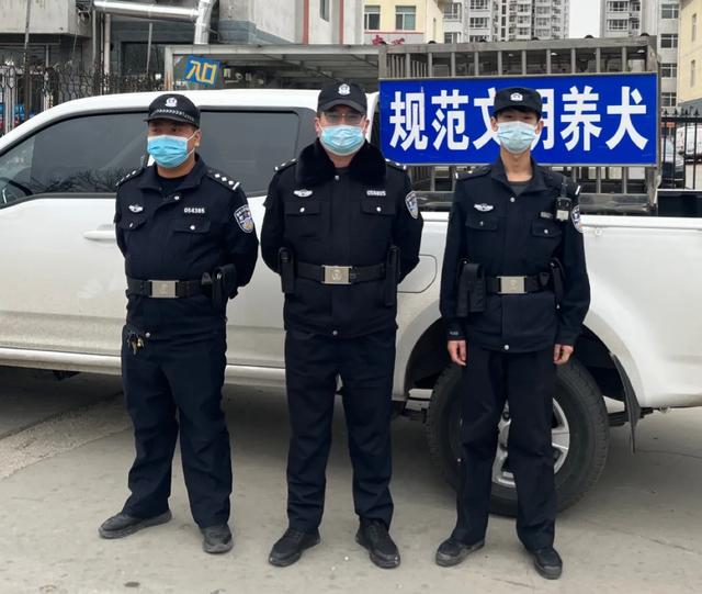 不文明养犬，沧州市37人被罚！