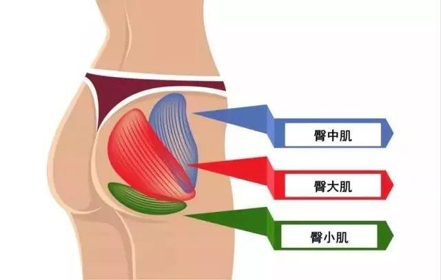 跑步要更稳更快，关键还得看屁股这块“肌肉”！！