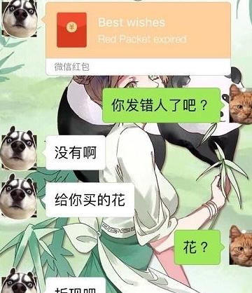 开心一刻：第一次开车上班，在车后面贴啥霸气标语好？