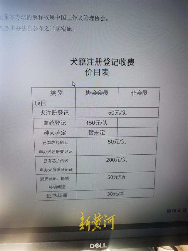 安阳“狗咬人”事件中工作犬证是啥证？新黄河调查：注册费50元代办要3000元，背后藏黑产