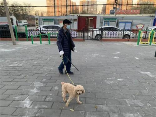 创建文明城区 石景山“老街坊”带头呼吁文明养犬