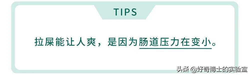 拉屎的时候，到底应不应该把屎夹断？