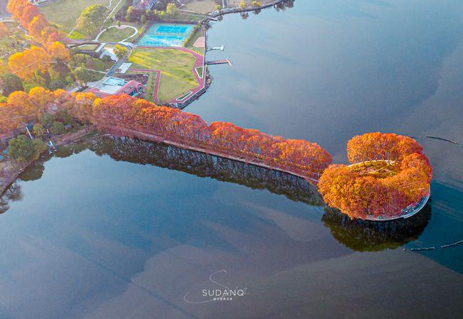 武汉的秋天太太太美了！航拍东湖：科技、生活与烟火气的随笔记录