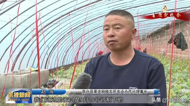 喜迎党代会 | 张掖：乡村振兴向整体推进 全域拓展提升