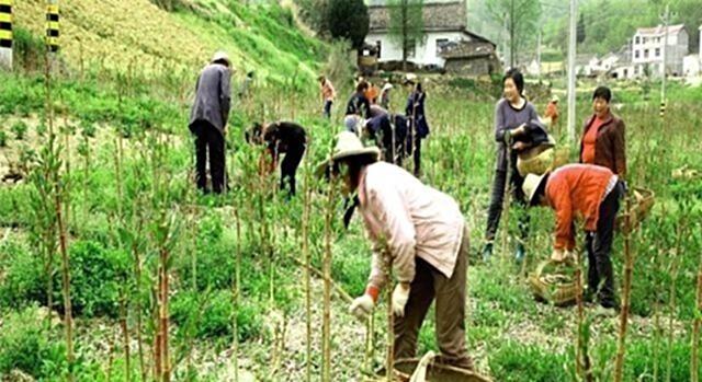 它在国内的名气很大，国外却臭名昭著，80后把它当做零食来吃