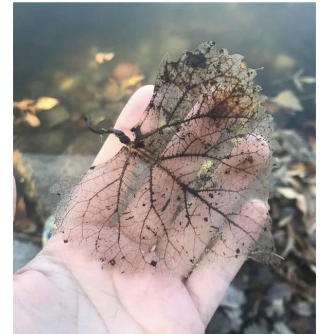 遇到奇怪的事物，还是忍不住拿起相机拍个不停！