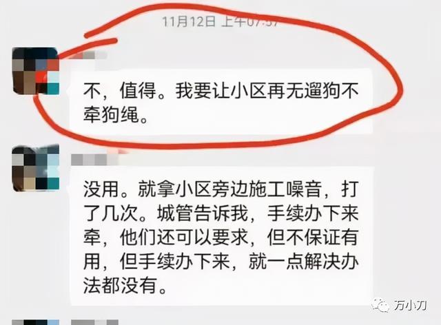 大人们，管管狗吧