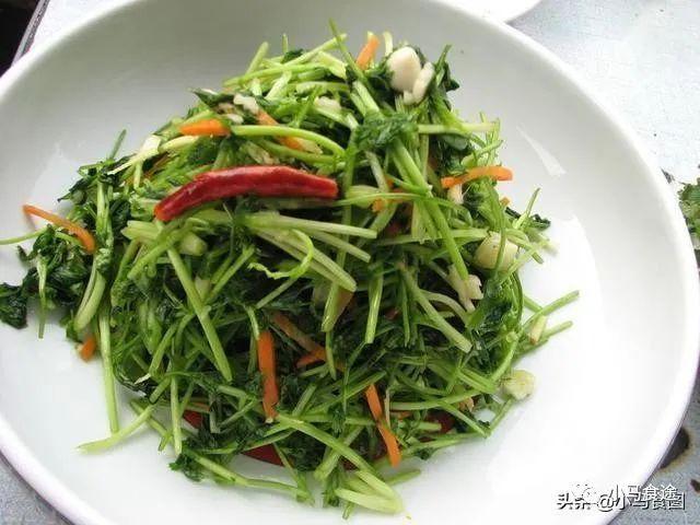 香菜不只是调味香料，它还可以和其他蔬菜一样作为主料单炒