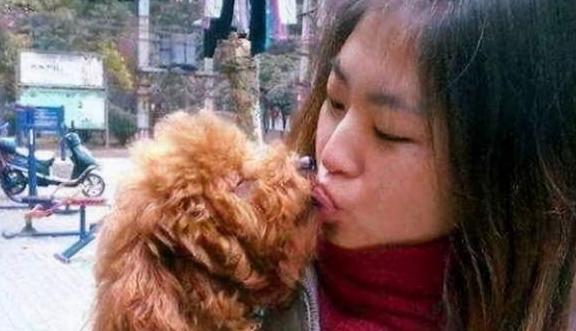 好色，狗仗人势：这样的泰迪犬，为何令广大女性“痴迷”？