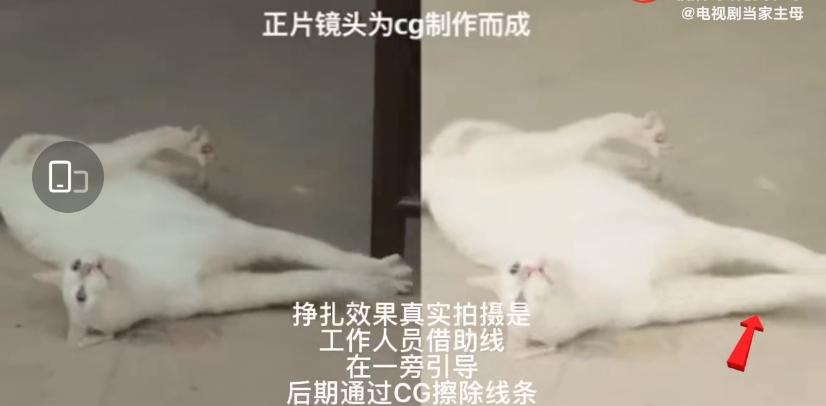 为拍戏毒死一只流浪猫？导演于正被谴责，剧组回应但毫无说服力