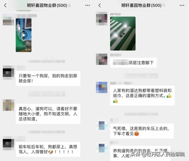 “狗伤人”频发，菏泽各小区养犬状况如何？