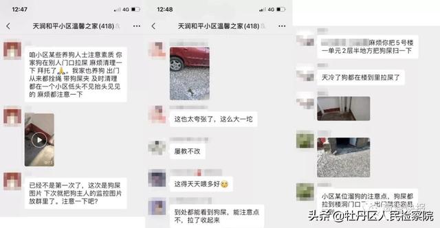 “狗伤人”频发，菏泽各小区养犬状况如何？