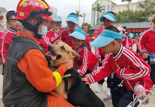 搜救犬的训练日常！一起走近他（它）们