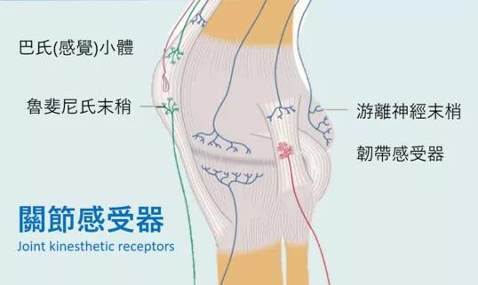 保持四大机能，身体就不算老！延缓衰老，需坚持这一味“良药”