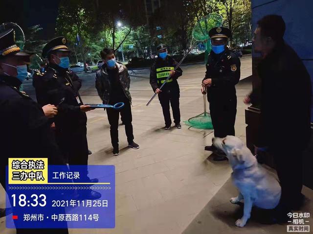 郑州全市联动夜查违规养犬，下达责令整改通知书33份