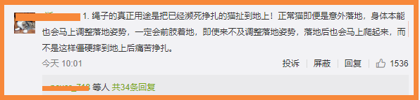 于正又有新麻烦！新剧被爆出疑似虐猫，连发澄清被指毫无说服力