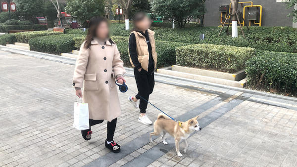 郑州一社区出“禁狗令”，要求养狗居民处理犬只，否则处罚，业主质疑一刀切