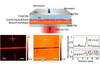 中科大研制出新光学元件，拓展显微成像质量