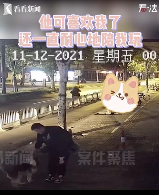 视频｜狗狗偷跑急坏主人 警察蜀黍神速找回